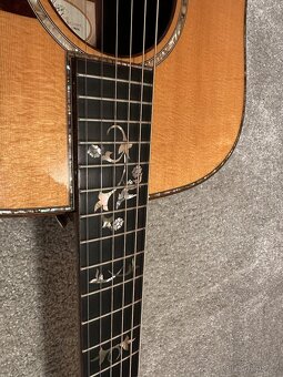 Taylor 910e / R.V 2014 / DREADNOUGHT / - 5