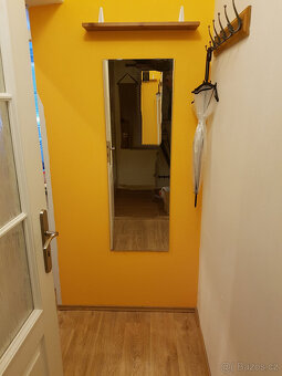 Pronájem bytu (20 m²) vedle metra Luka (5 minut pěšky). Byt - 5