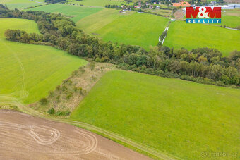 Prodej louky, 4161 m², Spálené Poříčí - 5