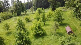 Prodej zahrady 3670m2 nedaleko Litoměřic - 5