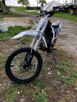 Pitbike Shark Leramotors 125 - 5