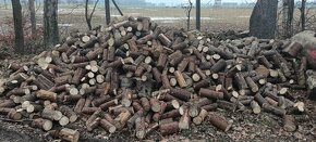 Štípání, řezání dřeva - 5