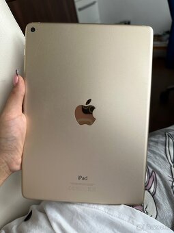iPad Air 2 Rose Gold 64GB - 5