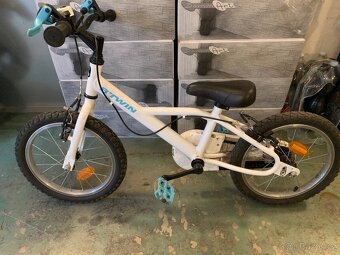 B twin Inuit 100 - 5