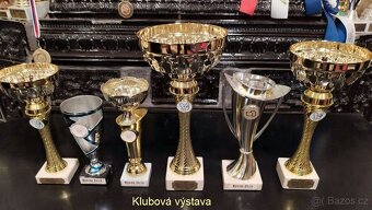 Francouzský buldoček s PP - 5