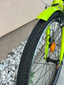 Kolobezka Wilcox Away - 5