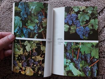 Knihy o viniči a vinohradníctve - 5