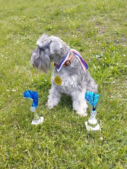 KNÍRAČ MALÝ P+S s PP - 5