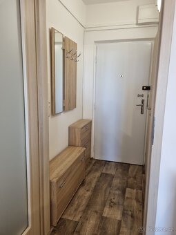Pronájem bytu 30 m² Vychodilova Brno - Žabovřesky - 5
