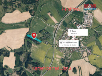 Prodej lesa, 17153 m², Božejov - 5