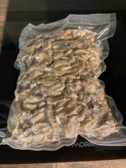 Letošní vlašské ořechy - 5