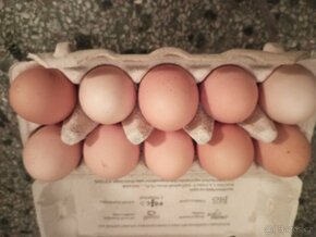 Domácí vajíčka z volného chovu - 5
