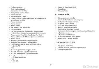 vypracované otázky ANATOMIE - 5