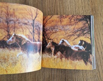 Horses (CubeBook, 2010) - 5