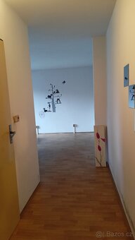 Pronájem bytu Lázně Bohdaneč  1+kk - 5