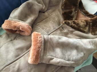 dubenak pansky, damsky - 5