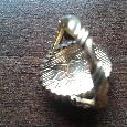 Zlatý prsten r. 1913 - 5