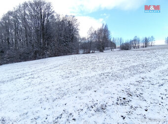 Prodej pozemku k bydlení nebo rekreaci, 2745 m², Nedvězí - 5