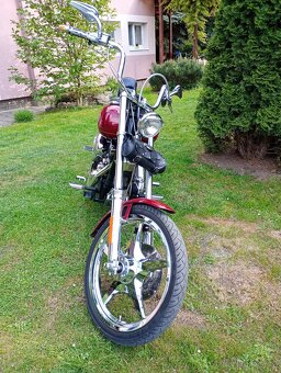 Harley Davidson DYNA WIDE GLIDE 1450 FXDWG - 5