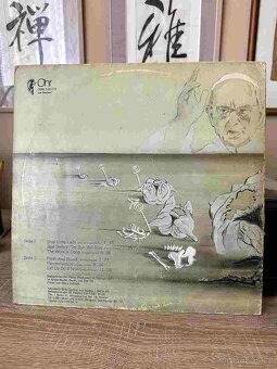 LP Birth Control - Operation - 5