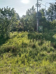 pronajem zahrady P R O N A J A T O volne 2/2026 - 5