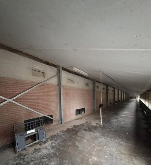 demontovana hala - 5