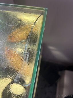 Akvárium Fluval Edge LED - 5