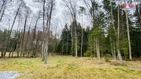 Prodej lesa, 15999 m², Strážkovice - 5