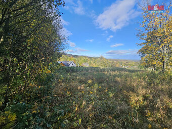 Prodej pozemku k bydlení, 1259 m², Zlaté Hory - 5