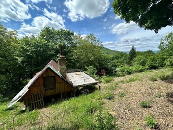 Zahrada 1.636 m2, Koštov-Trmice-Ústí n/L - 5