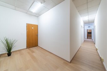 Pronájem — pokoj pro pár v Žižkově - 5