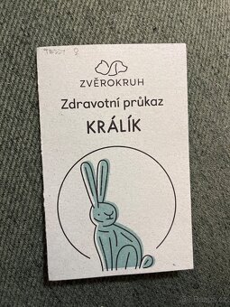 Březí samička SPĚCHÁ - 5