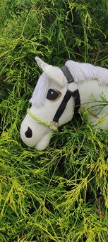 Hobby horse - 5