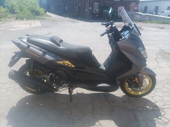 Maxon Discover 300 limited - 5
