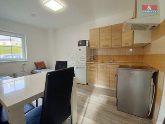 Pronájem bytu 1+1, 36 m², Strážný - 5