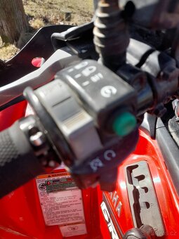Yamaha YF Grizzly 700 - 5