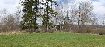 Pozemek - ostatní se stromy -1128 m² - 5