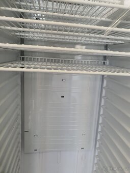 NOVÁ GASTRO VELKÁ vitrína lednice 381 lt VENTILACE - 5
