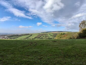 Jeřáb oskeruše zahrada - potok - 5