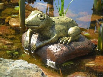 Zahradní dekorace - žába k jezírku, žabka, žába střední - 5