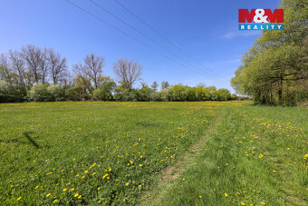 Prodej pozemku, 4590 m², Horní Bříza - 5