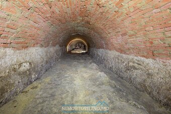 Prodej vinného sklepa v rámci hlavní sklepní uličky v Šatově - 5