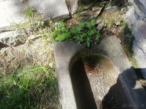 Staré koryto - žlab - 5