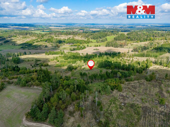 Prodej lesa v Horních Heřmanicích - 5