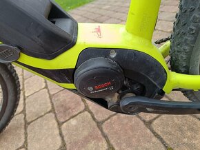 Elektrokolo Bergamot E-revox 5.0 2018 - 5