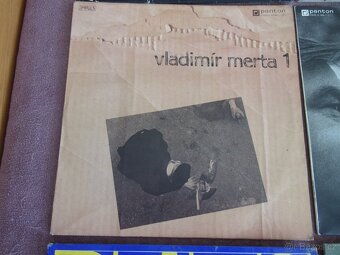 9x LP - GRAMOFONOVÁ DESKA - COUNTRY, FOLK, POP, ROCK... - 5