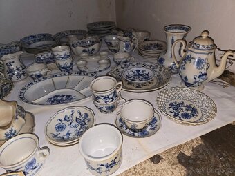 Prodam megasadu originalniho cibulaku - 5