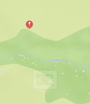 Prodej lesy, 4 369 m² - Chocerady, ev.č. N08074 - 5