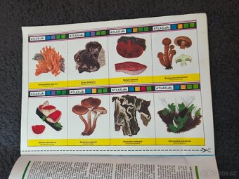 Časopis ABC ročník 28 č. 24. - 5