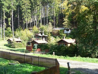 Dovolená v přírodě 🏖️🌳 - 5